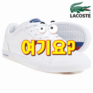  라코스테신발 자수포인트 유로파 데일리룩 코디 신발 [내가 선택한 이유]