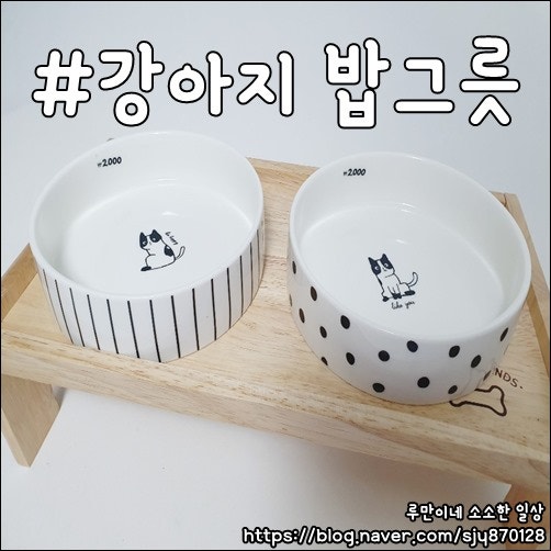 다이소 강아지 밥그릇 9천원 퀄리티가 이정도!!