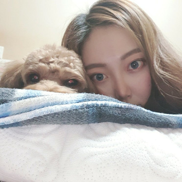  집밥견선생 강아지수제간식으로 뀨 행복 찾아주기