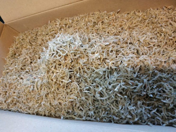  세멸치,지리멸치,잔멸치 볶음용멸치 1.5kg