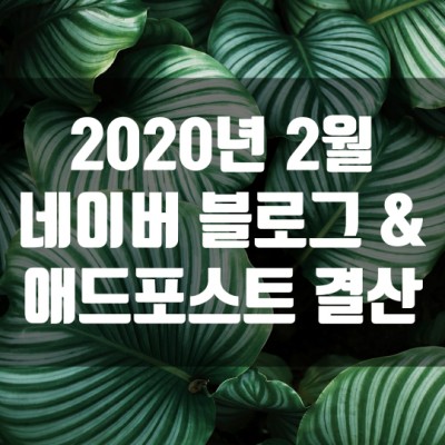 2020년 2월 네이버 블로그 & 애드포스트 결산