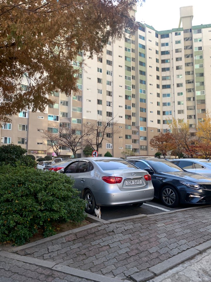  창원 진영 변기 막힘...꽉막힌 변기 잘 뚫는 법/ 창원 변기 막혔을때/ 창원마산진해 변기 물이 안내려가요/ 김해양산 변기막힘