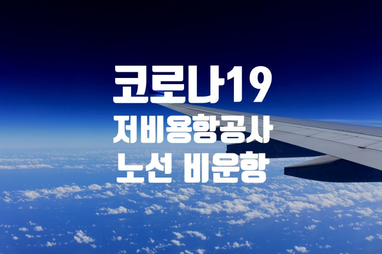  저비용 항공사별 감편 및 비운항 노선