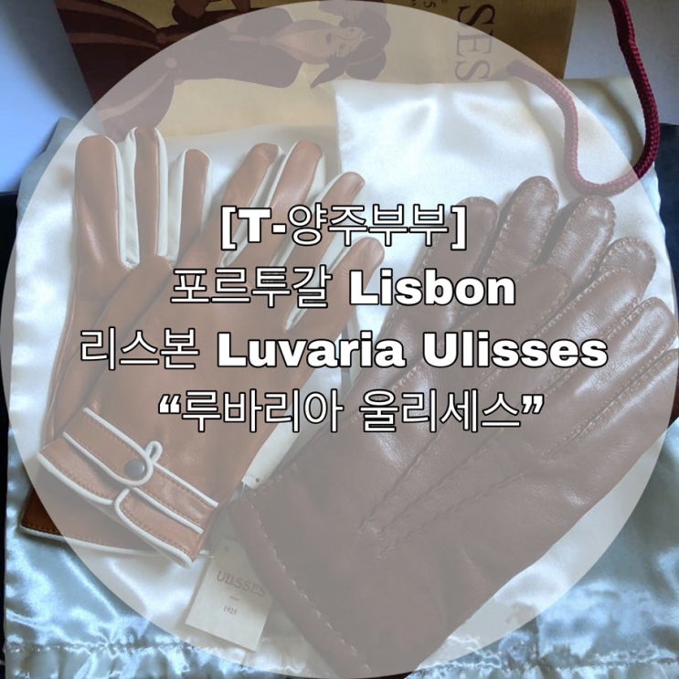 [T-양주부부] 포르투갈 Lisbon 리스본 Luvaria Ulisses  “루바리아 울리세스”
