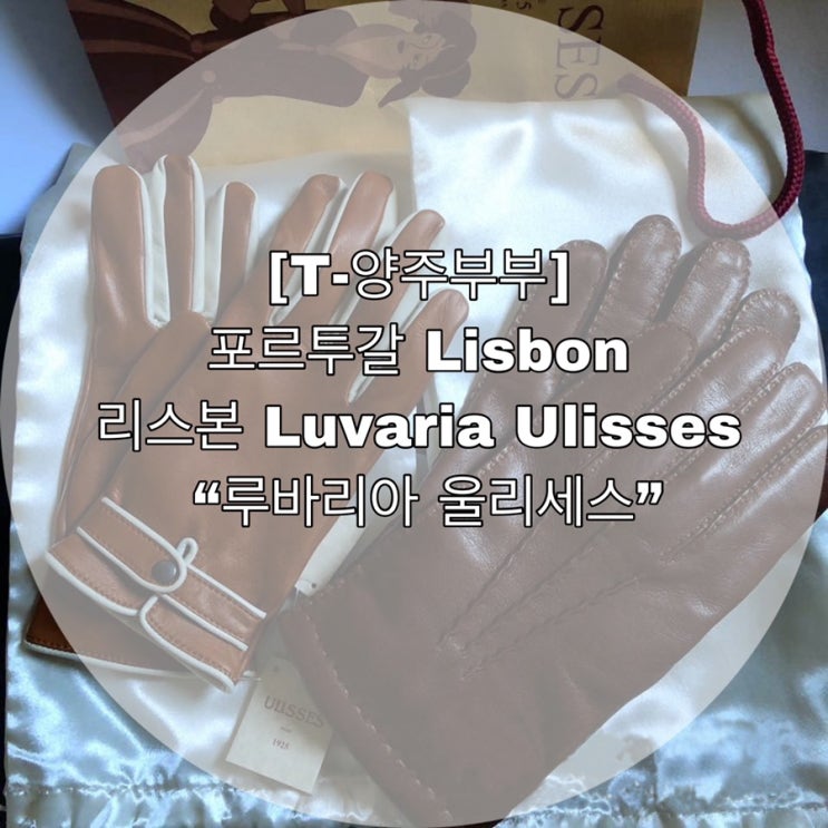  [T-양주부부] 포르투갈 Lisbon 리스본 Luvaria Ulisses  “루바리아 울리세스”