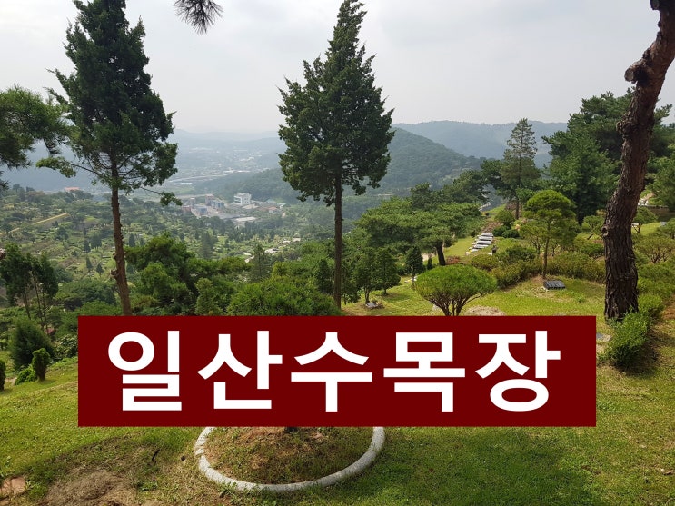  일산수목장 중 가족 모시기 좋은 수목장은 어디에 있나요?