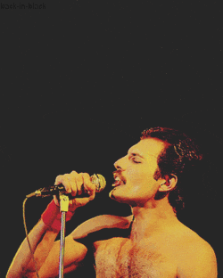 Freddie Mercury - There Must Be More To Life Than This / 가사 해석