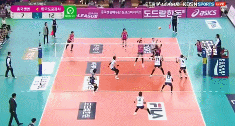 ì—¬ìžë°°êµ¬ ëª…ìž¥ë©´ Gif ë„¤ì´ë²„ ë¸