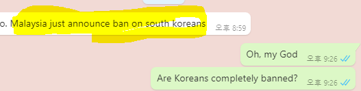  강아지검역 고양이검역 반려동물해외운송[입국금지?]