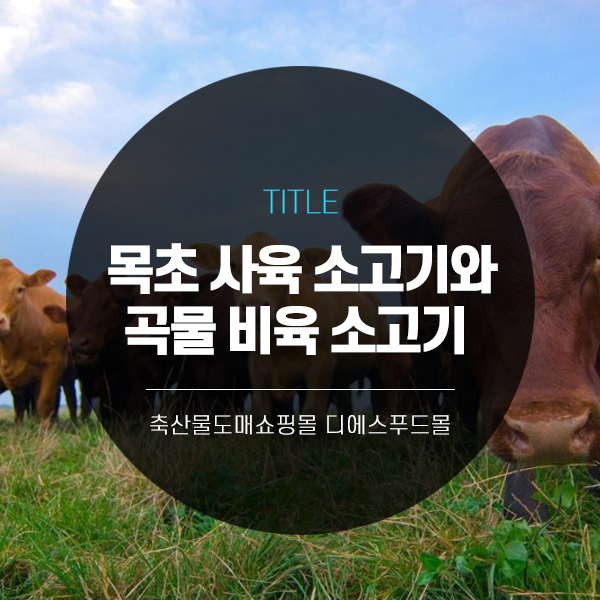  [디에스푸드몰의 고기정보]목초 사육 소고기와 곡물 비육 소고기