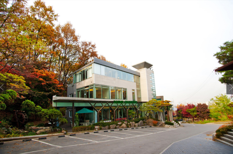  연애 5년 후 처가댁 첫인사에서 상견례까지 이야기