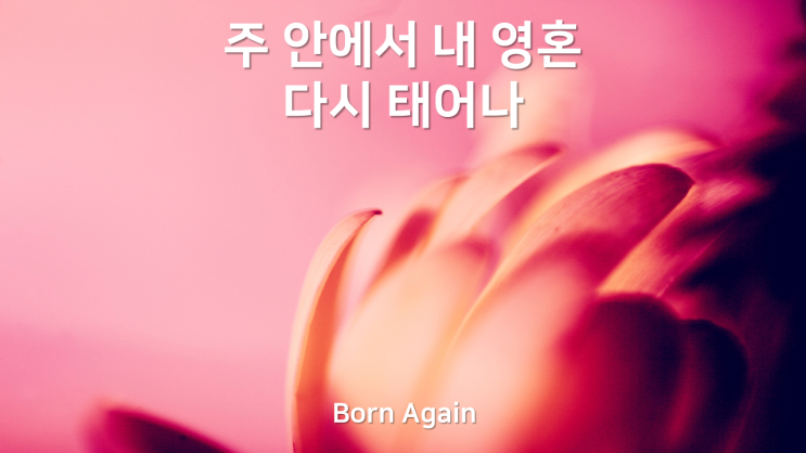  Born Again(본어게인)