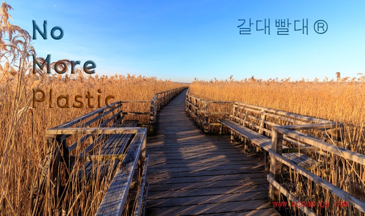  갈대빨대