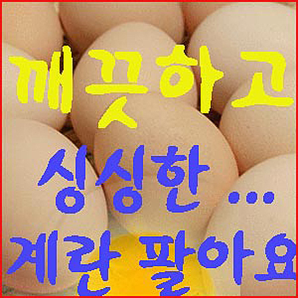 &lt;최저가&gt;자연방목 달걀 유정란 계란 진솔한 토종 닭알, 1팩, 20알 꿀정보예요~