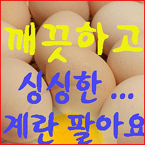  <최저가>자연방목 달걀 유정란 계란 진솔한 토종 닭알, 1팩, 20알 꿀정보예요~