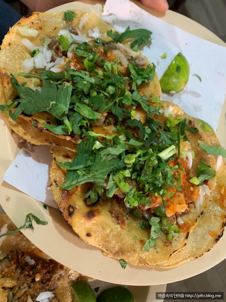 [멕시코시티] 소깔로 광장 투어 & 곱창 타코 인생 맛집! El Torito