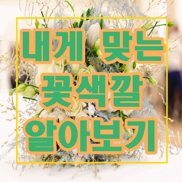  대구 꽃배달, 나에게 맞는 꽃 색깔로 꽃배달 주문하기