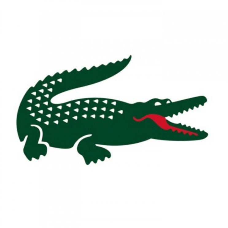  -리뷰- [lacoste kids] 라코스테 키즈 :PK 원피스