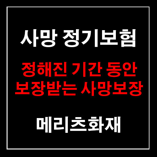  [메리츠화재] 일정 기간을 정해서 사망보장받는 정기보험