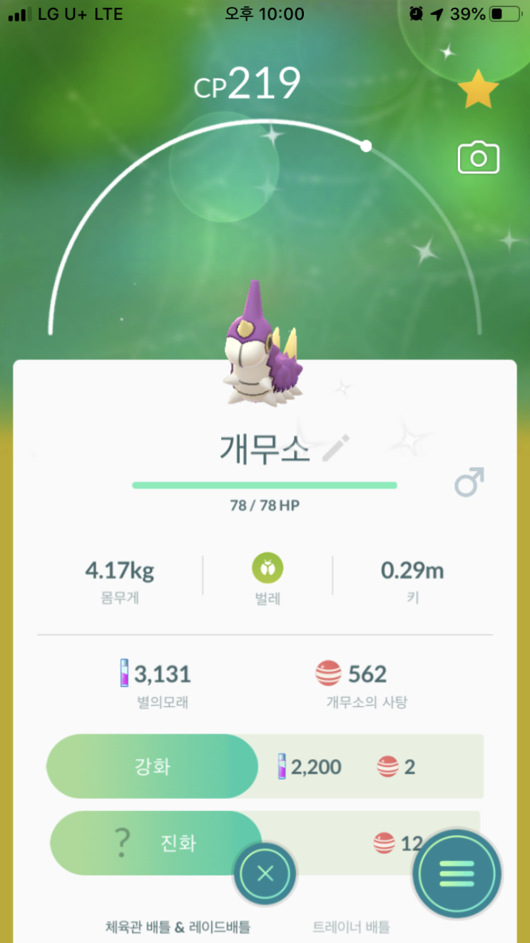  개무소 이로치