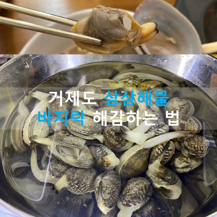 바지락 쉽고 빠르게 해감하는 법