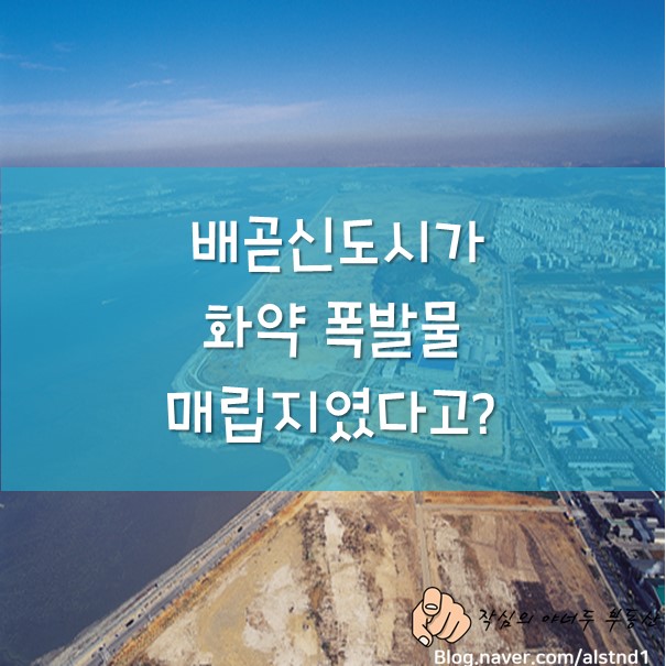  송도 국제도시와의 해상 연결교량인 배곧 대교 신설 및 경제자유구역 지정 등 심상치 않은 배곧 신도시