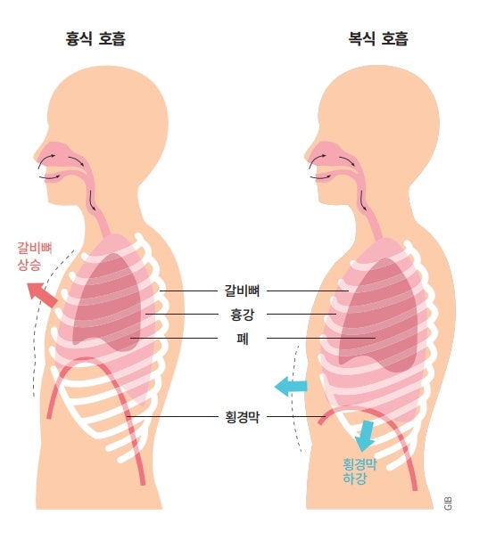 올바른 호흡법에 대해 : 네이버 블로그