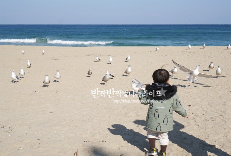  삼척 아이와 가볼만한곳 이사부사자공원 그림책나라