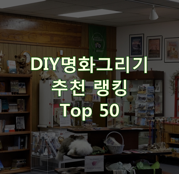  가성비 좋은 DIY명화그리기 순위 Best 50