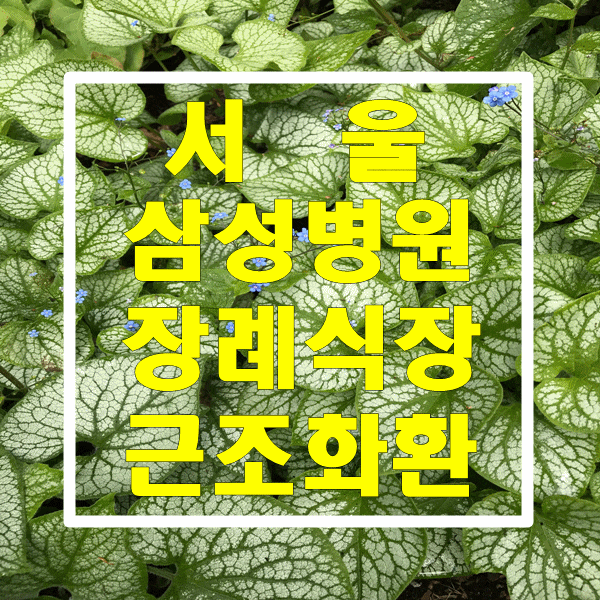 서울 삼성병원장례식장의 근조화환은 품질좋은 화환으로 보내드립니다!!!