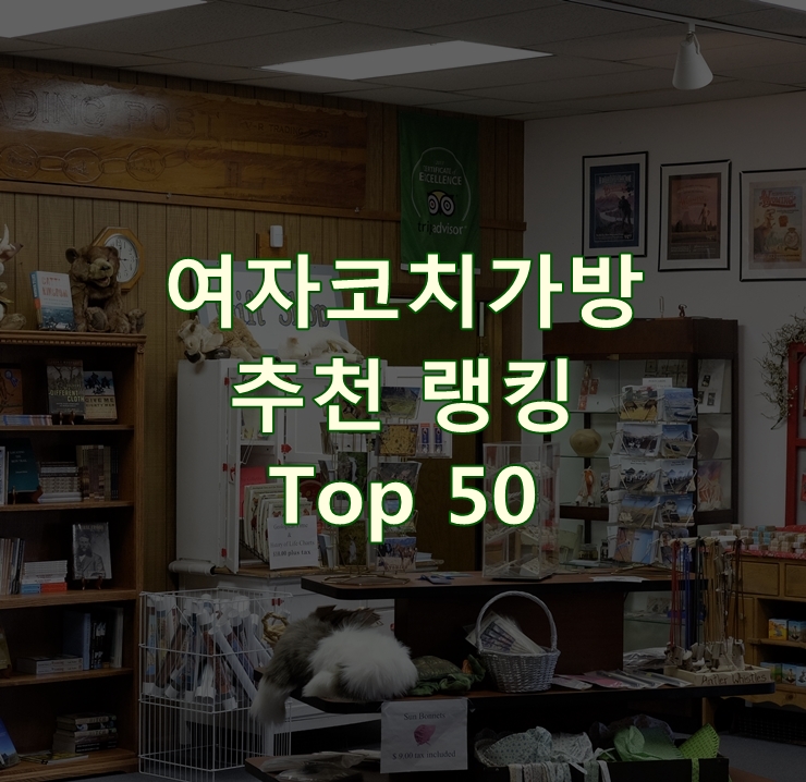  인기 좋은 여자코치가방 리뷰 베스트 50