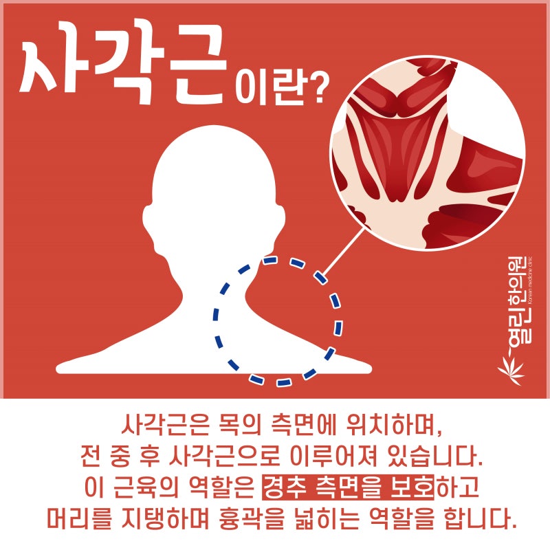 팔저림원인 목디스크 때문이라면 팔저림원인 목디스크 때문이라면