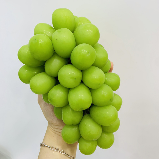 김천 고당도 망고포도 샤인머스켓 2kg(2~4수), 단품 추천해요 김천 고당도 망고포도 샤인머스켓 2kg(2~4수), 단품 추천해요