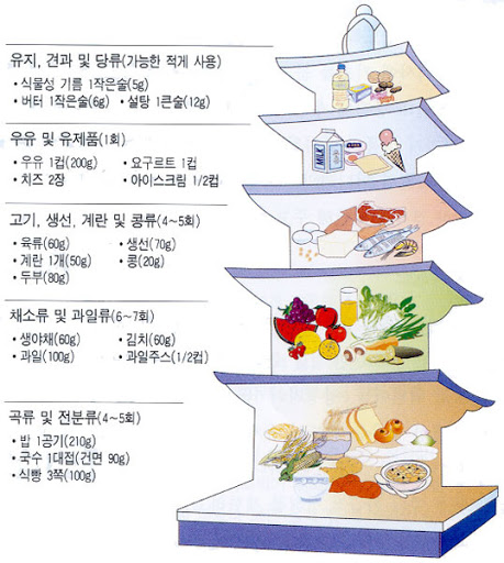  식품구성탑(마이피라미드)