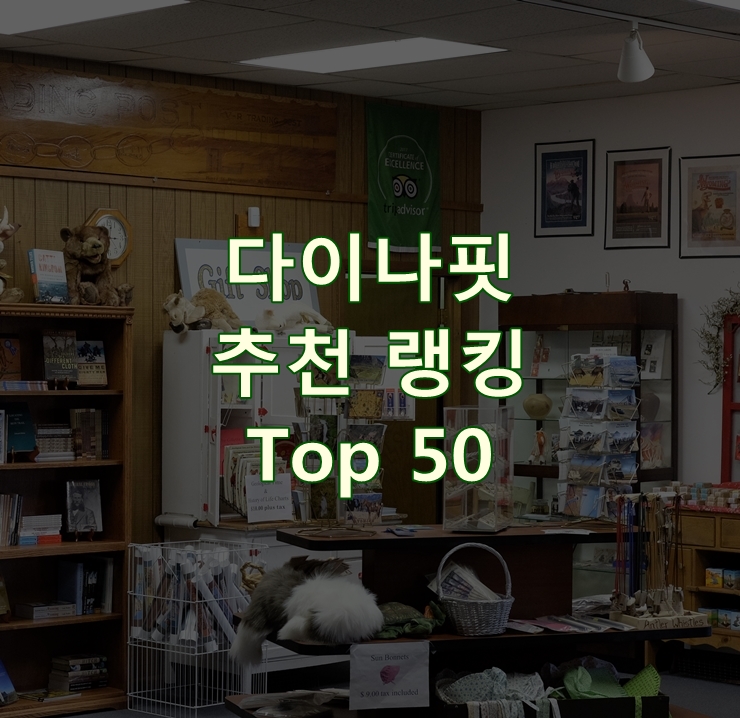  판매가 좋은 다이나핏 순위 베스트 50