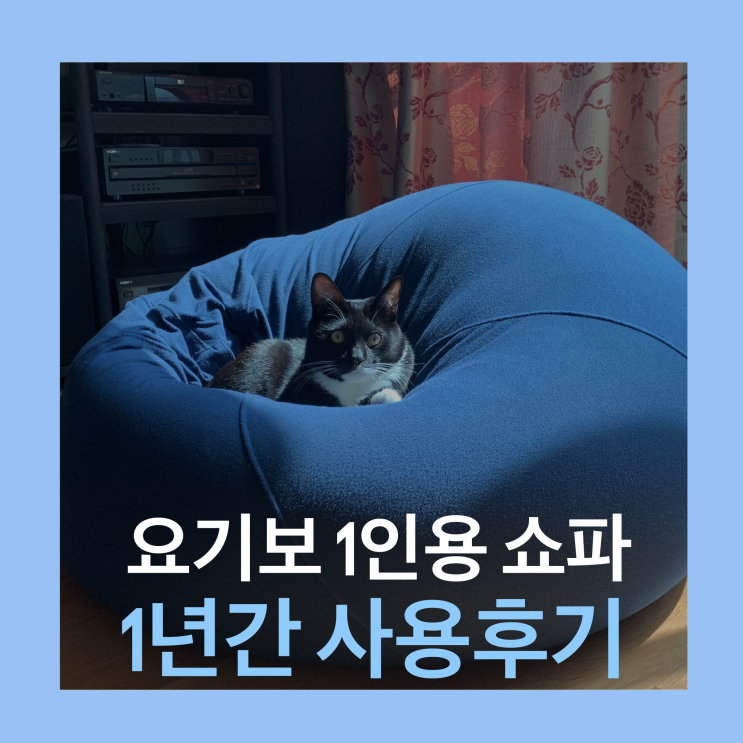 요기보, 마약쇼파 1년간 사용 후기 + (장단점)