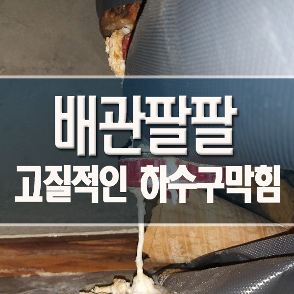  강동구하수구막힘 입상관 배관내시경으로 문제파악