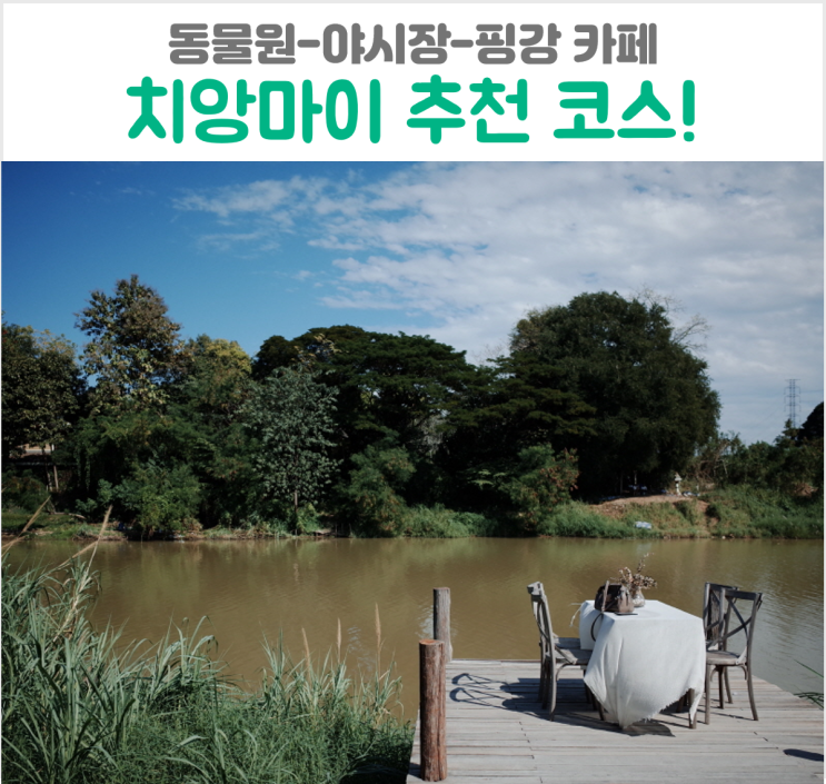  치앙마이 자유여행 추천 코스! 동물원 야시장 핑강 바리스트로 카페 Baristro cafe
