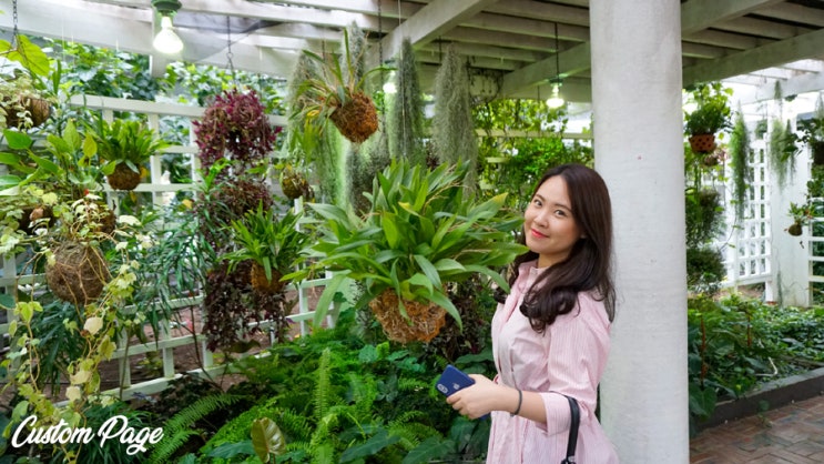 비오는 제주도 여행 : 여미지 식물원, 제주도 비올 때 가볼 만한 곳