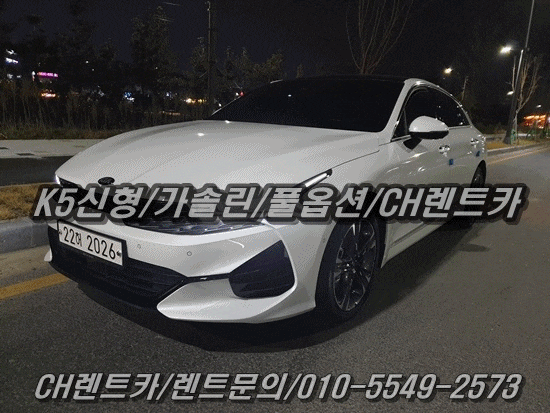 대전/세종 국산차 수입차 신형 차량 보유 렌터카 업체
