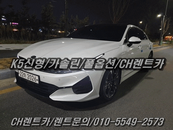  대전/세종 국산차 수입차 신형 차량 보유 렌터카 업체