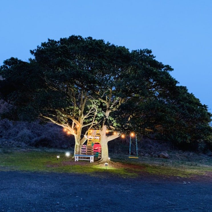 [제주여행]제주도 야간명소 제주조각공원 포레스트판타지아 : 포토스팟 한가득