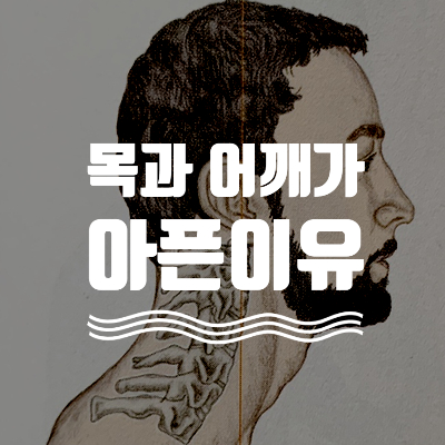  [한남동PT] 어깨통증, 목통증의 이유를 알아보자 (feat.이웃님 chu) #1 - H퍼스널트레이닝, 무브미