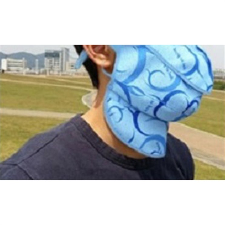[할인추천] 청원품상유한회사 자외선 차단 마스크 블루   14,250원  