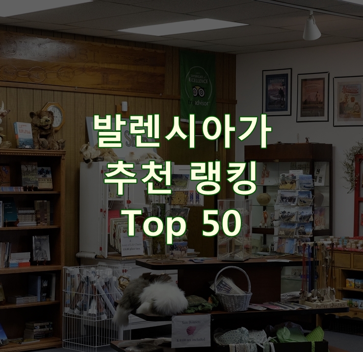  가성비 좋은 발렌시아가 리뷰 베스트 50