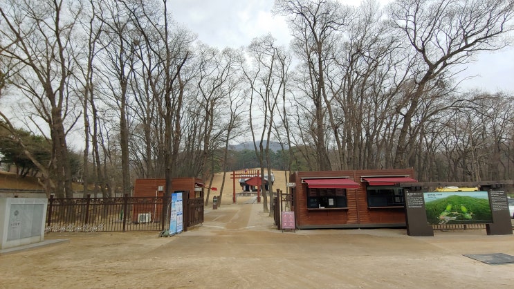 헌릉 인릉 헌인릉 풍경과 생강나무 꽃망울 담다 헌릉 인릉 헌인릉 풍경과 생강나무 꽃망울 담다