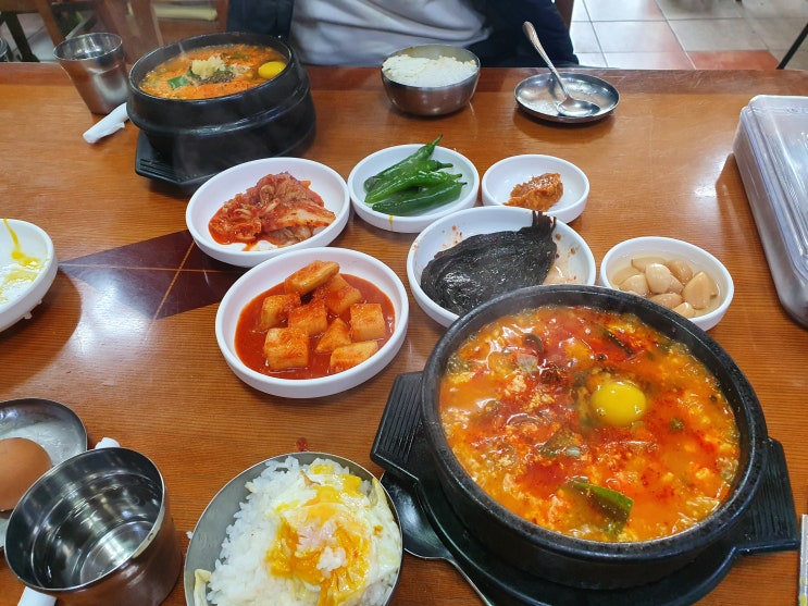 제주공항근처해장국 모이세해장국 서사라직영점 후기