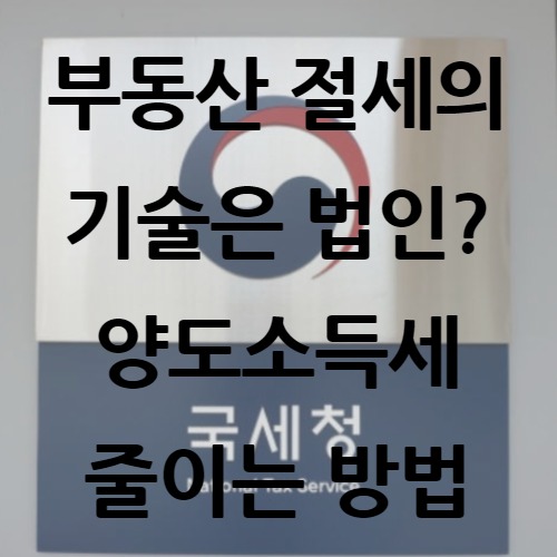  부동산 절세의 기술은 법인? 양도소득세 줄이는 방법