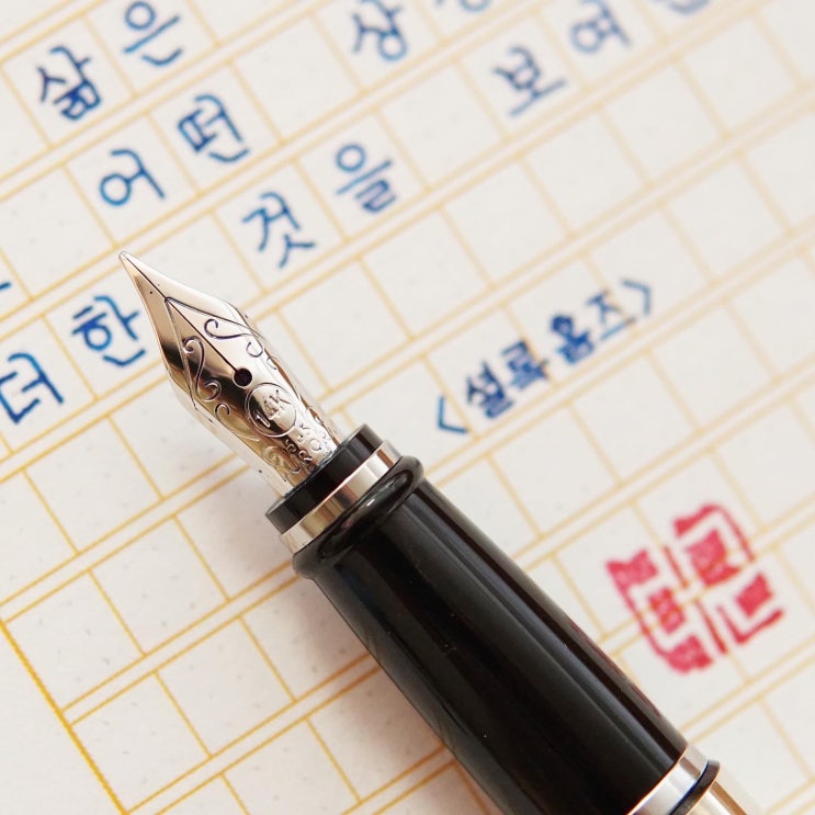  삶은 언제나 (오로라 입실론 리고로사 ef닙)