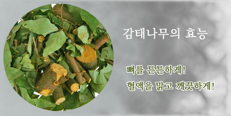  감태나무의 효능